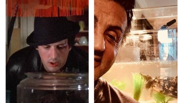 Cuff y Link, dos tortugas que el protagonista de Rocky le regala a Adrian (Talia Shire). Ahora tienen 44 años.