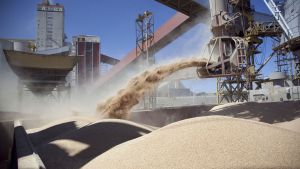 Las retenciones para la soja saltan otro 10% para los grandes productores