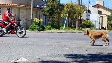 El hombre sufrió severas lesiones. Foto Ilustrativa: Marcelo Ochoa.