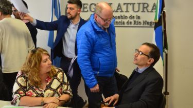 El ministro Agustín Domingo defendió el proyecto oficial en el Plenario. Fotos: Marcelo Ochoa