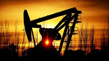 El hallazgo debe ser ahora analizado y estudiado. (Foto: Mauro Pérez)