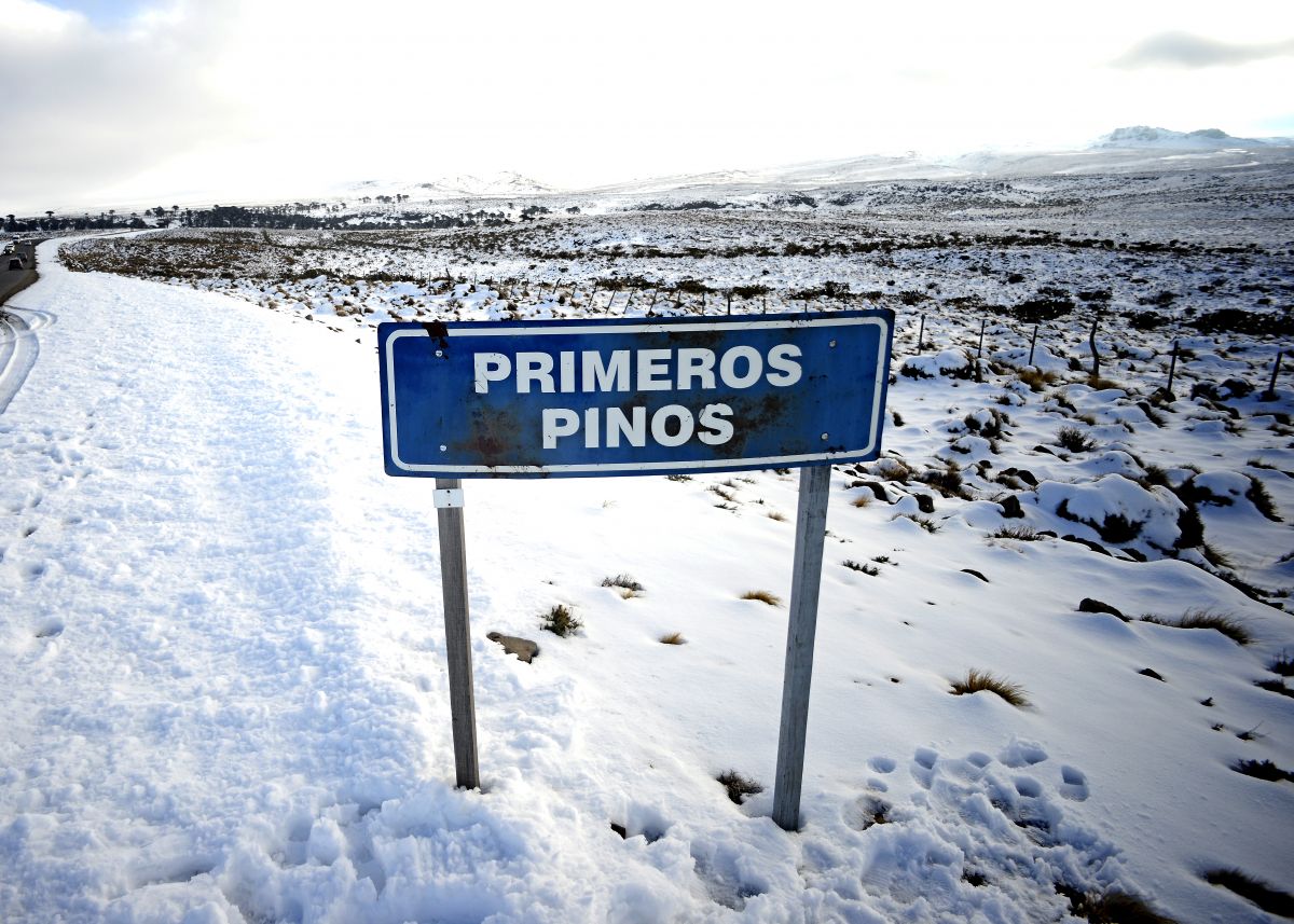 La ruta 13 va desde Primeros Pinos a Villa Pehuenia.  Foto: Archivo Mauro Pérez