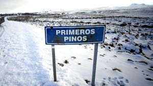 Gutiérrez pedirá un nuevo préstamo para asfaltar la ruta entre Primeros Pinos y Pehuenia