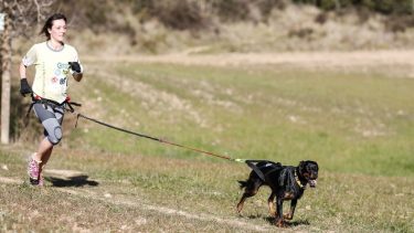 La carrera con mascotas, o "cnicross" será el domingo por la mañana en La Herradura. (Gentileza).-