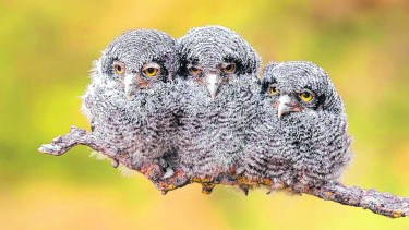 Foto: Ignacio Hernández