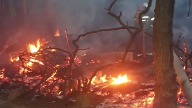 El rayo incendió un gallinero, que fue consumido por las llamas. (Gentileza Centenario Digital).-