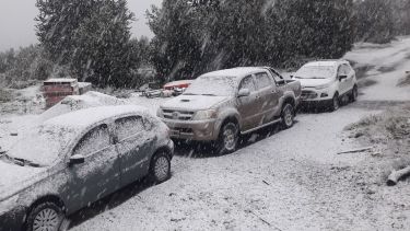 Así nieva en Villa Pehuenia  Foto: Facebook Nattycatalan