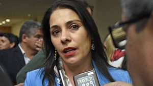 Crexell cuestionó la falta de perspectiva de género de la jueza electoral