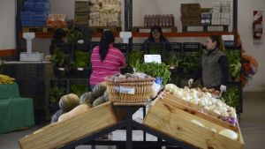 El mercado comunitario de Bariloche se multiplica para llegar a los barrios