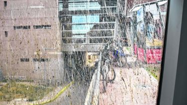 El personal de mantenimiento no  pueden erradicar las palomas.