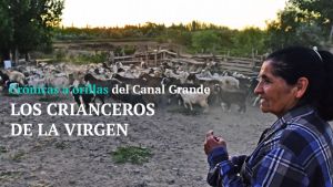 Los crianceros de la Virgen: una vida de sueños y sacrificios a orillas del canal