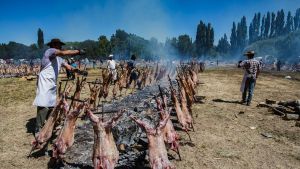 Las fiestas populares potenciaron el turismo en Neuquén
