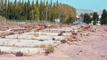 Poco cemento, muchos yuyos y ningún ladrillo. Así está el predio en la zona de avenida Roca y Evita.