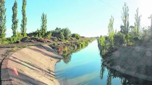 Postergación del desarrollo de Viedma: riego en Valle Inferior