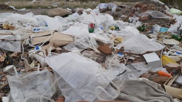 Foto: Néstor Salas.