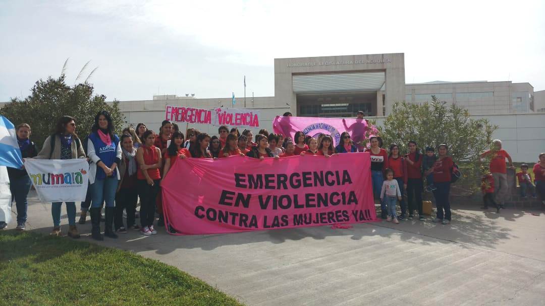 El año pasado las organizaciones impulsaron el proyecto de ley de Declaración de Emergencia por Violencia de Genero. Las diputadas del Frente de Todos volveran a insistir (Gentileza).