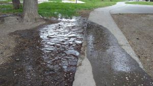 Derroche de agua en una plaza viedmense