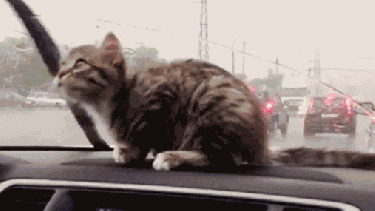 ¡No te olvides el paraguas!