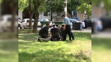 Foto: Gentileza