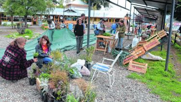 Con una media sombra protegen la producción del sol directo. La feria está a pocas cuadras de la plaza Pagano. Foto: Alfredo Leiva