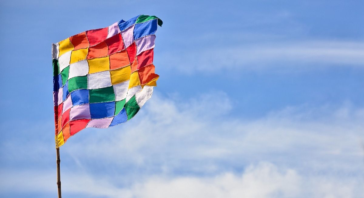 La bandera de 49 colores que representa a los pueblos originarios y la diversidad cultural. 