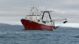 Prefectura Naval brindará colaboración como Policía Auxiliar de Pesca en Río Negro