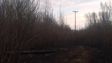 Aseguran que el incendio de hace dos días derivó en la caída de árboles en la zona de captación. (foto: gentileza)
