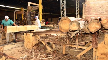 - Los trabajadores del aserradero dijeron tener miedo de quedarse sin trabajo. - (Foto: archivo)