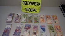 Imagen de Un perro de Gendarmería detectó droga, dinero y un arma en un control vial