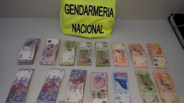 Un perro de Gendarmería detectó droga, dinero y un arma en un control vial