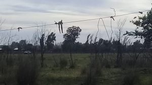 Nuevo intento de toma en Cipolletti