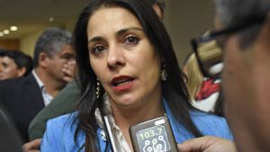 La senadora Crexell cuestionó la respuesta del presidente y dijo que Fernández «no conoce la Patagonia»