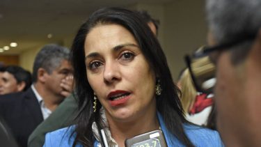 Lucila Crexell es una de las tres senadoras de Neuquén junto a Oscar Parrilli y Silvia Sapag. Foto archivo.