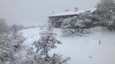 La nieve vistió de blanco la cordillera de Neuquén
