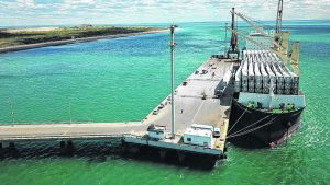 De China a San Antonio, llegan las aspas para un parque eólico neuquino