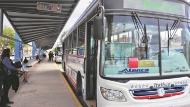 Con sueldos en debate, se viene la licitación de transporte público en Roca