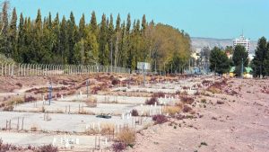 Un insólito aporte para el plan de viviendas más polémico de Río Negro