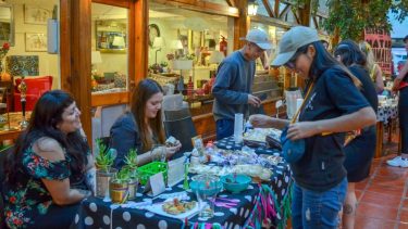 Activistas por el derecho animal realizarán una gran feria vegana