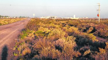 Avanza la idea de un estadio único de fútbol para Neuquén capital