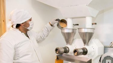 Familia en Bariloche produce harina proteica de rosa mosqueta, única en el mundo