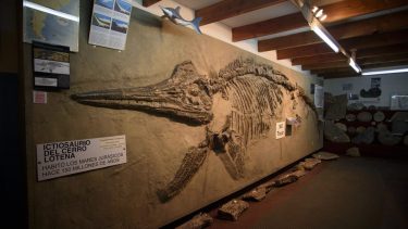 Bariloche se suma a La Noche de los Museos