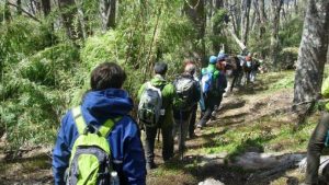 Bariloche lanzó una web para descubrir sus senderos de montaña