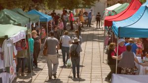 Se viene la primera  edición de la Feria Germinar que reúne a jóvenes emprendedores