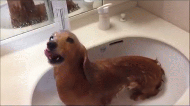 Quizás necesitamos un refrescón hoy.-