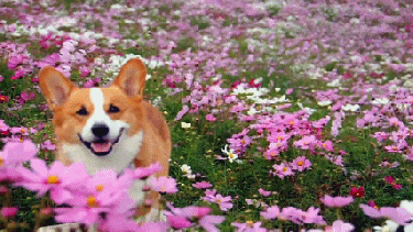 La primavera llegó con todos sus componentes.- 