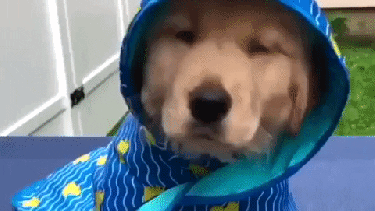 Vamos a dejar a mano el piloto hoy. -