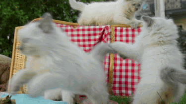 Pronóstico: el miércoles se mantiene soleado y cálido en la región