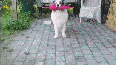 Pronóstico: ¿Llega la lluvia a la región?