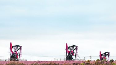 En Vaca Muerta se bajaron siete equipos aproximadamente. Además hubo una fuerte desaceleración de la producción. 