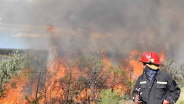 Tres millones de hectáreas en riesgo de incendios en Río Negro, La Pampa y Buenos Aires